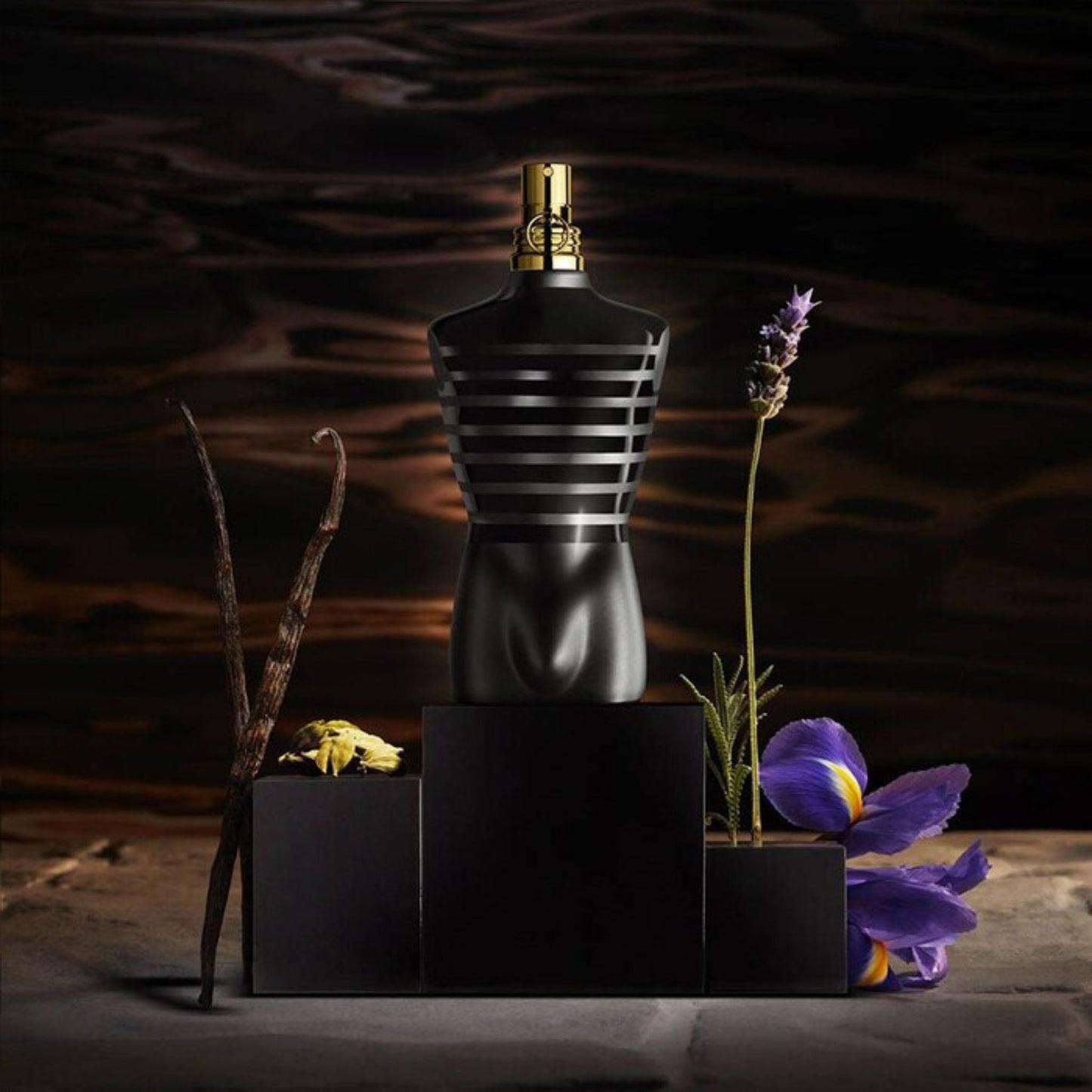 Perfume Jean Paul Gaultier Le Male Le Parfum
