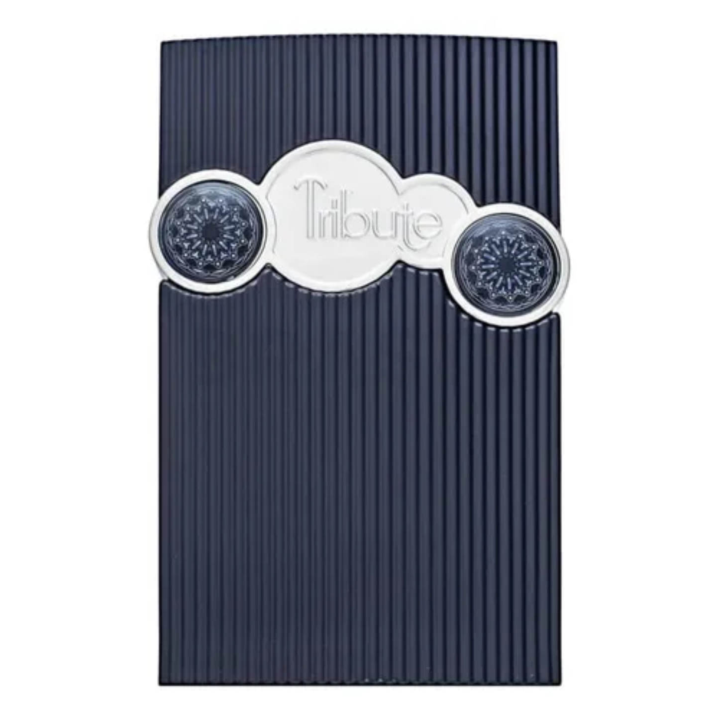 Perfume Afnan Tribute Blue 100ml EDP