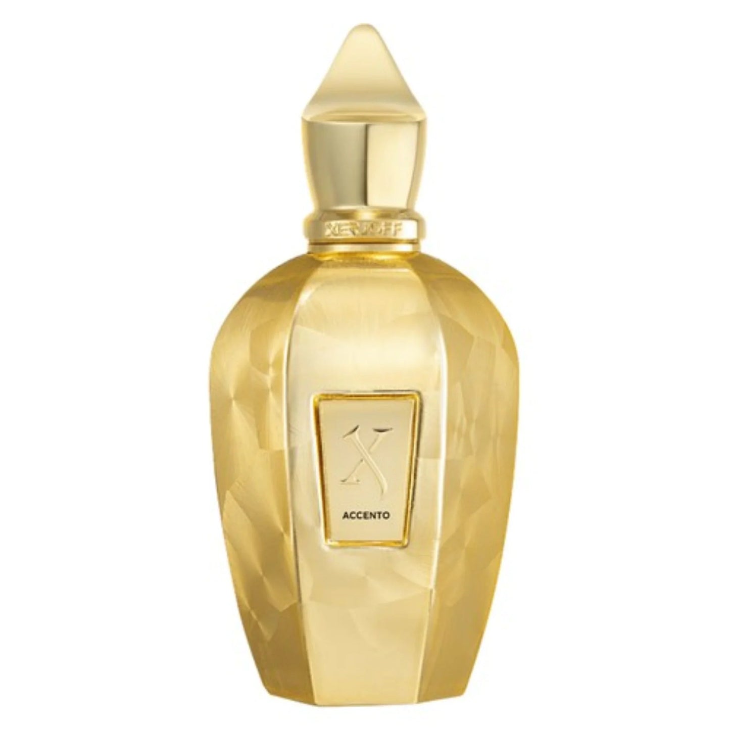 Perfume Xerjoff ACCENTO OVERDOSE 100 ml EDP