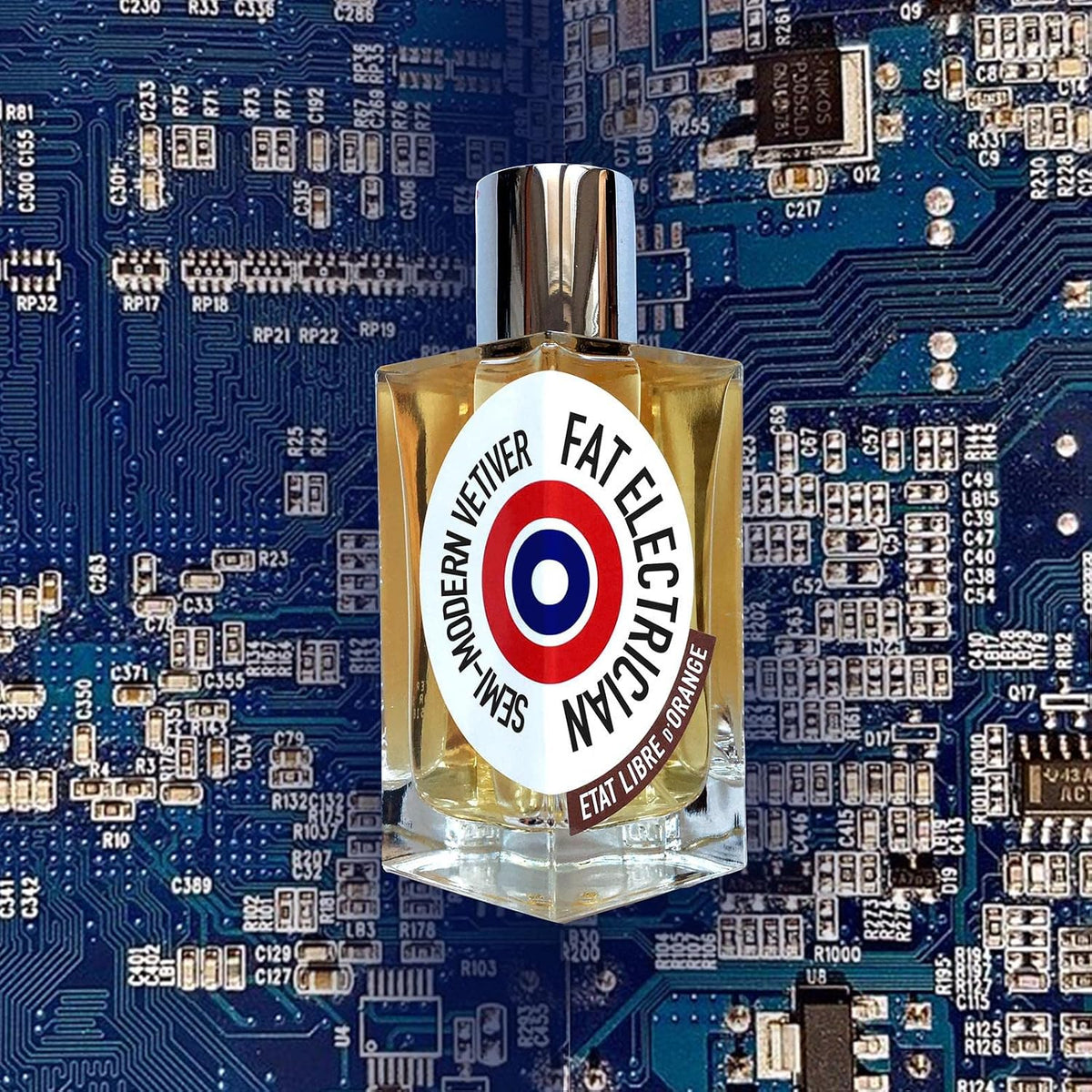 Perfume Etat Libre d'Orange Fat Electrician 100ml EDP
