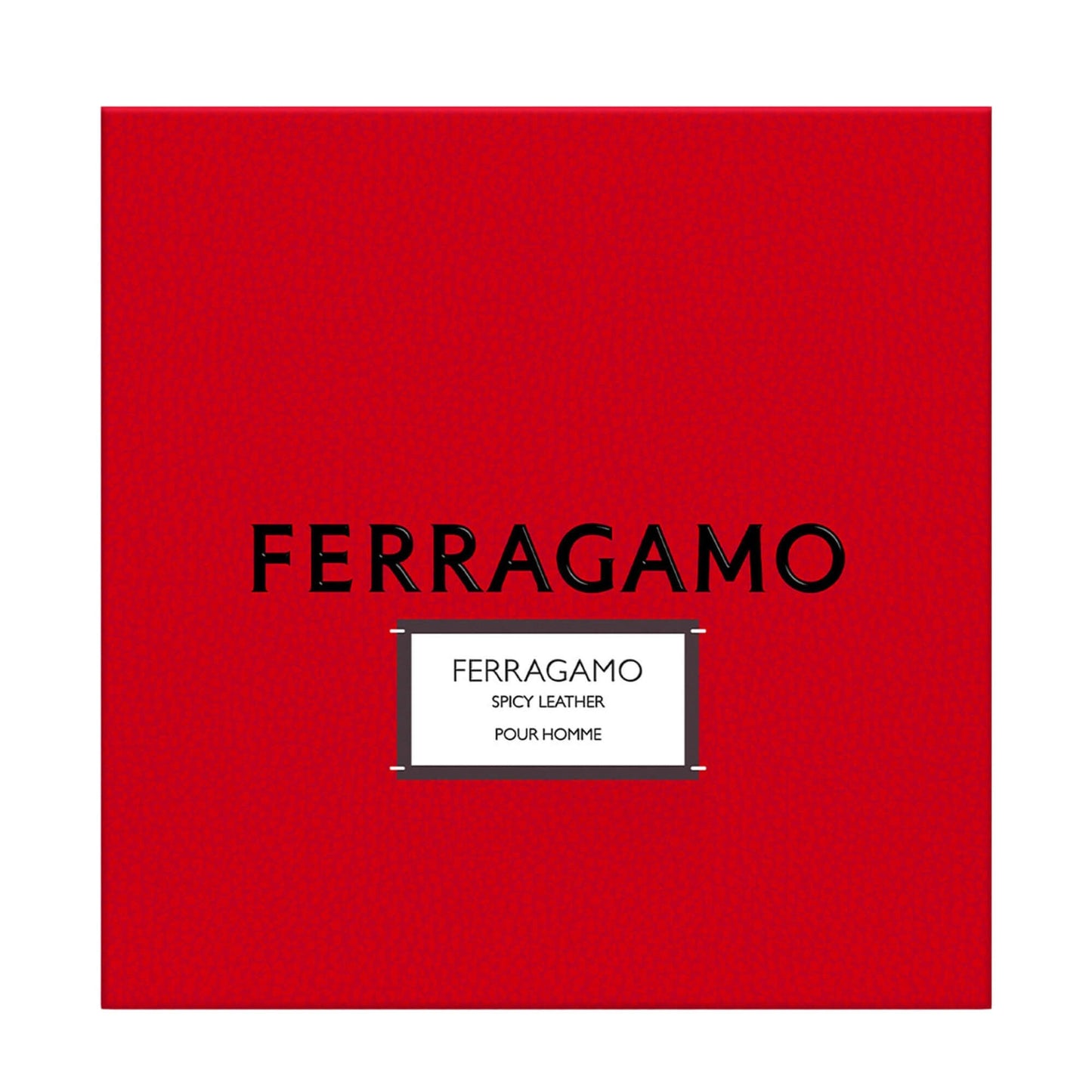 Ferragamo Spicy Leather Pour Homme