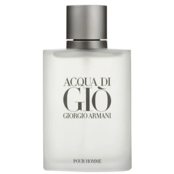 Perfume Giorgio Armani Acqua Di Gio 100ml EDT