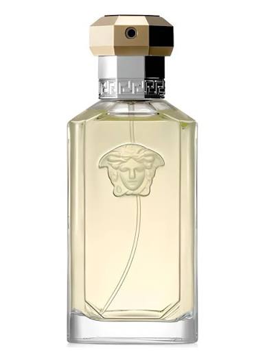 Perfume VERSACE THE DREAMER 100ml EDT